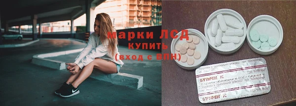 ГАЛЛЮЦИНОГЕННЫЕ ГРИБЫ Беломорск