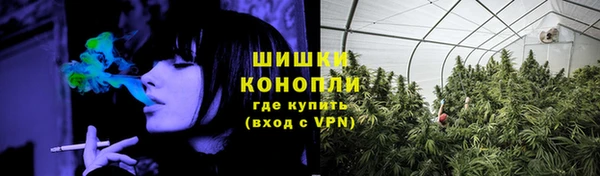 винт Белокуриха