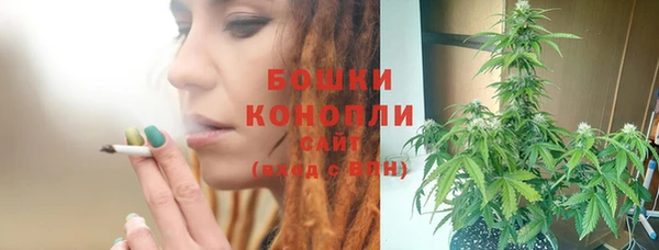 винт Белокуриха