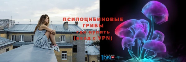 винт Белокуриха