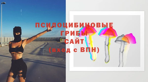 крисы Белоозёрский
