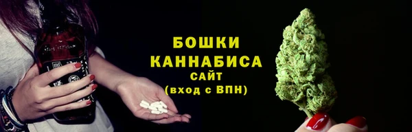 крисы Белоозёрский