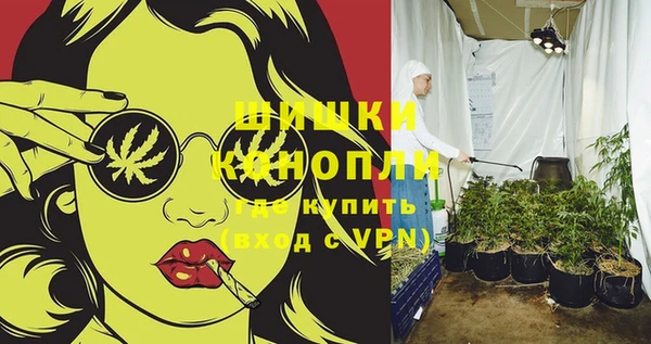 винт Белокуриха