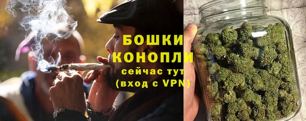 ГАЛЛЮЦИНОГЕННЫЕ ГРИБЫ Беломорск