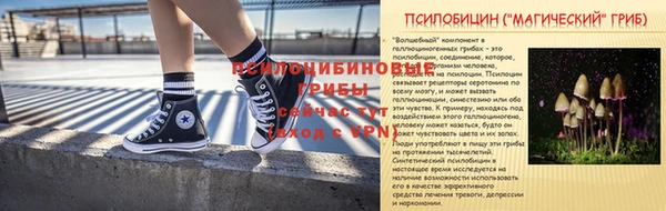 винт Белокуриха