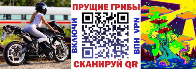 Галлюциногенные грибы Cubensis  Кодинск 